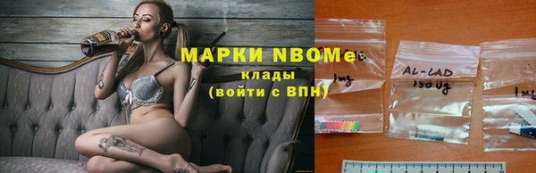 сатива Краснослободск