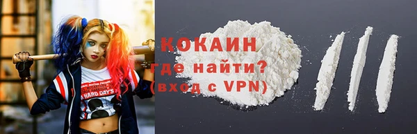 сатива Краснослободск