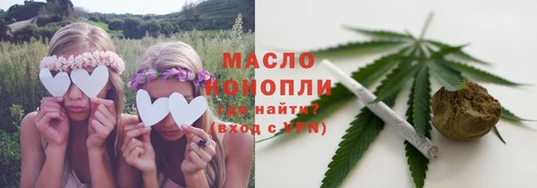 сатива Краснослободск